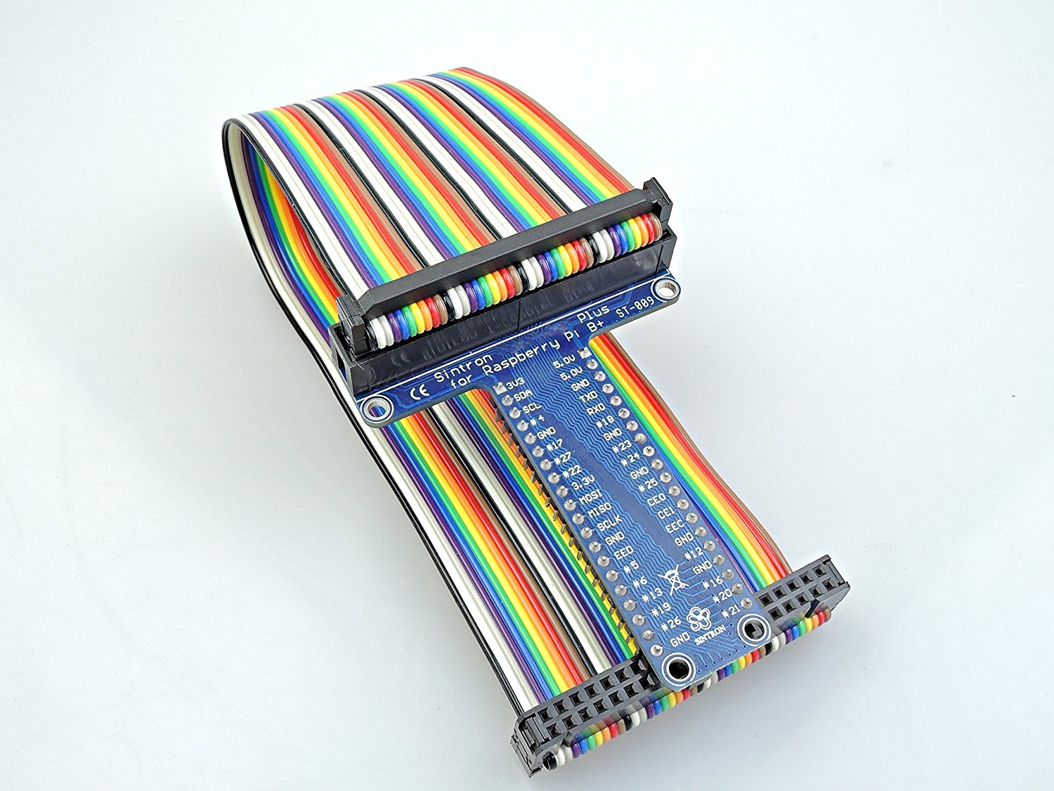 Sintron] New 40-Pin GPIO Extension Board Starter Kit with RGB LED Swi –  Sintron Technology